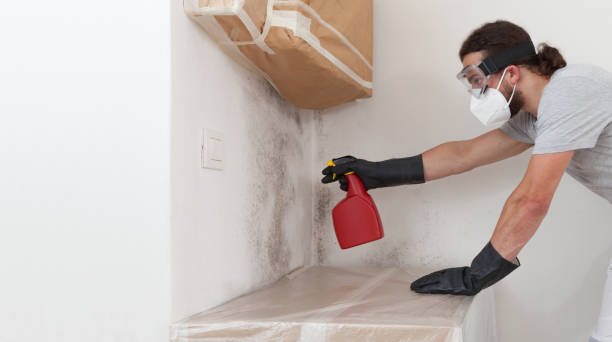 Professional Attic Mold Remediation technician working in Roosevelt, NY